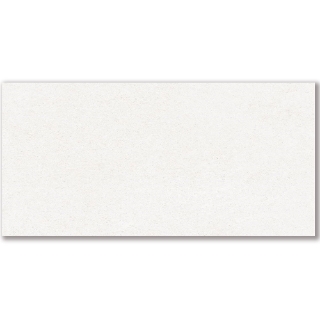 Picture of American Wonder Porcelain - Mars Stone II 24 x 48 Matte White Dune