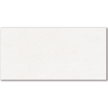 Picture of American Wonder Porcelain - Mars Stone II 24 x 48 Polished White Dune