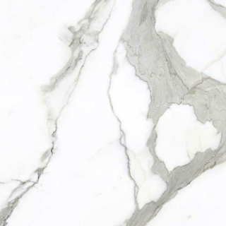 Picture of American Wonder Porcelain - Preeminent II 24 x 24 Matte White