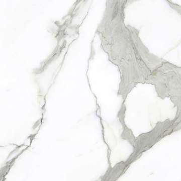 Picture of American Wonder Porcelain - Preeminent II 24 x 24 Matte White