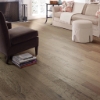Picture of Shaw Floors - Pebble Hill Mixed Width Rattan