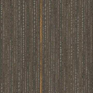 Picture of Joy - On Demand Higher Calling Formative