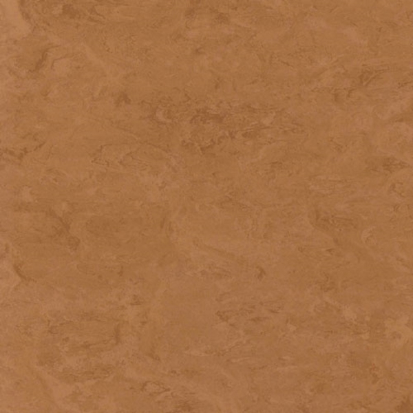 Picture of Toli International - Fasolplus Caramel