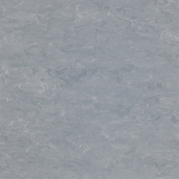 Picture of Toli International - Fasolplus Cove