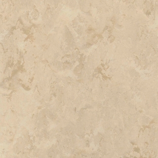 Picture of Toli International - Fasolplus Latte