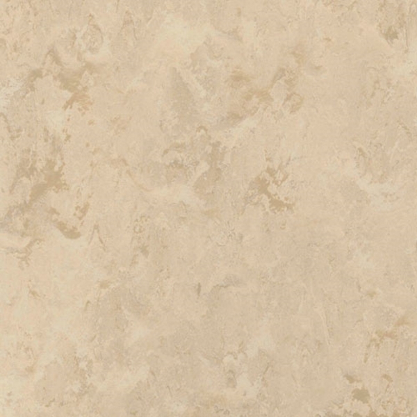 Picture of Toli International - Fasolplus Latte