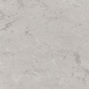 Picture of Toli International - Fasolplus Silver