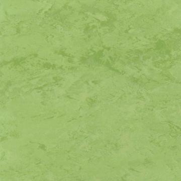 Picture of Toli International - Fasolplus Spring