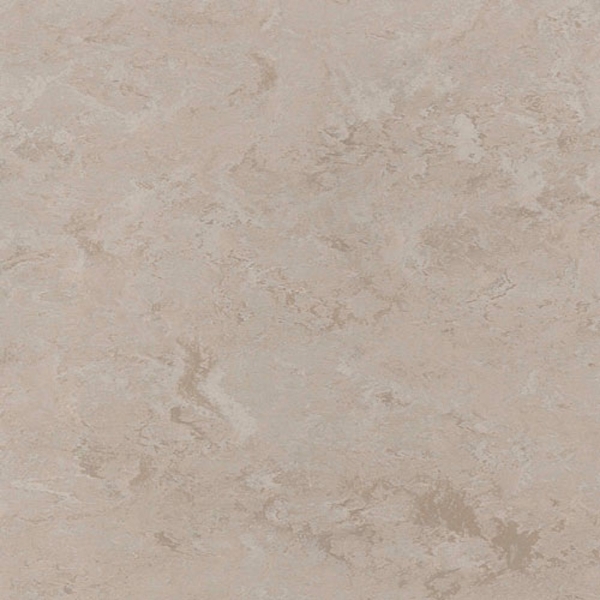Picture of Toli International - Fasolplus Taupe
