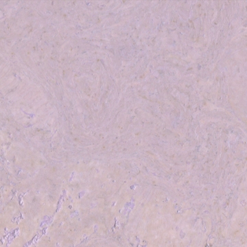 Picture of Globus Cork - Nugget Texture 9 x 12 Lavender