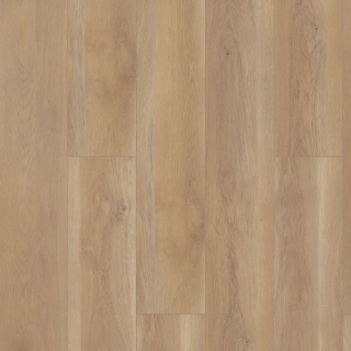 Picture of Shaw Floors - Paragon HD Plus Natural Bevel Edgemont