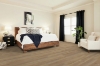 Picture of Shaw Floors - Paragon HD Plus Natural Bevel Edgemont