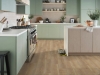 Picture of Shaw Floors - Paragon HD Plus Natural Bevel Edgemont