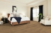 Picture of Shaw Floors - Paragon HD Plus Natural Bevel Franklin