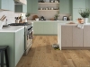 Picture of Shaw Floors - Paragon HD Plus Natural Bevel Mansart