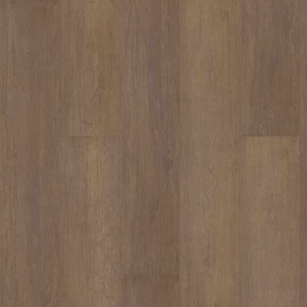 Picture of Shaw Floors - Paragon HD Plus Natural Bevel Gable