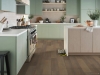 Picture of Shaw Floors - Paragon HD Plus Natural Bevel Gable