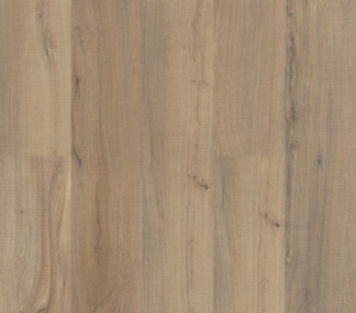 Picture of Philadelphia Commercial by Shaw - Fortitude Driftwood