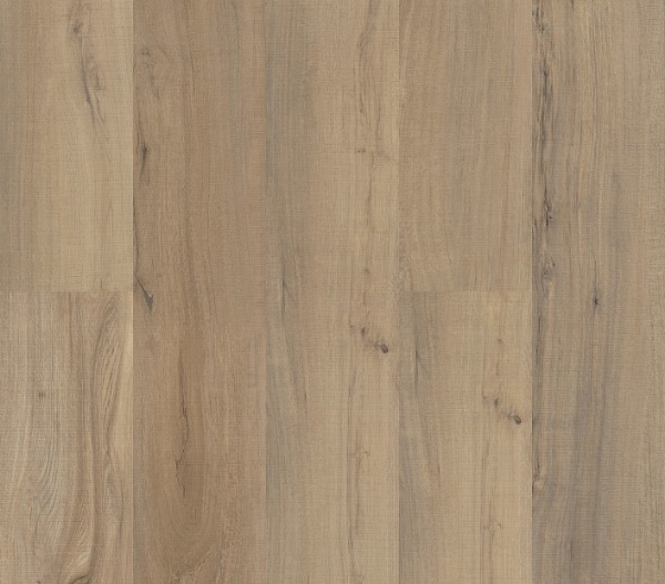 Picture of Philadelphia Commercial by Shaw - Fortitude Driftwood