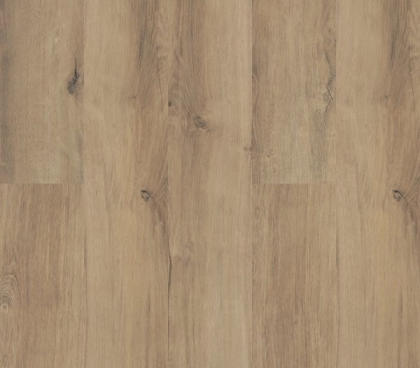 Picture of Philadelphia Commercial by Shaw - Fortitude Marina