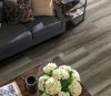 Picture of Philadelphia Commercial by Shaw - Fortitude Oyster Oak