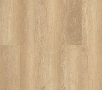 Picture of Philadelphia Commercial by Shaw - Fortitude White Sand