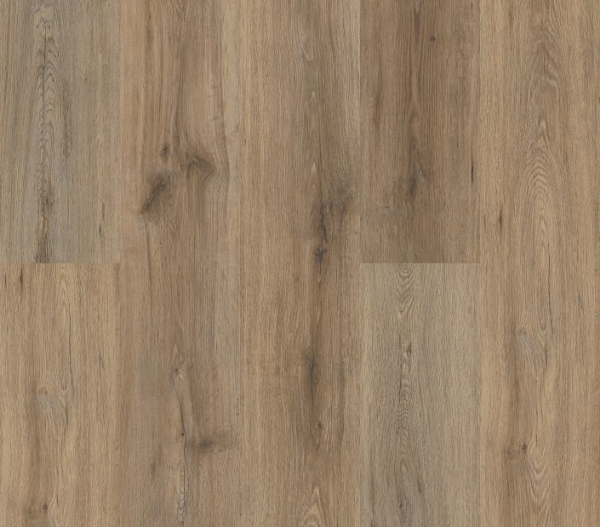 Picture of Philadelphia Commercial by Shaw - Fortitude Wild Dunes