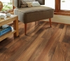 Picture of Philadelphia Commercial by Shaw - Fortitude Amber Oak