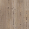 Picture of Philadelphia Commercial by Shaw - Ardent Accent Pine