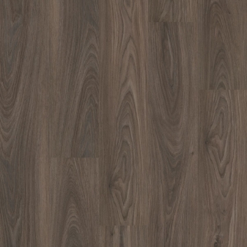 Picture of Philadelphia Commercial by Shaw - Ardent Dark Elm