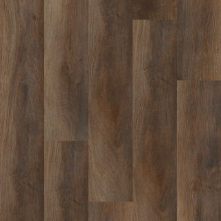 Picture of Philadelphia Commercial by Shaw - Ardent Highlight Oak