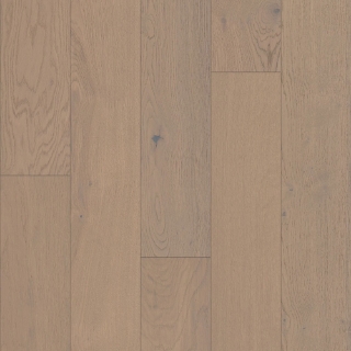 Picture of Shaw Builder - Citadel Reine