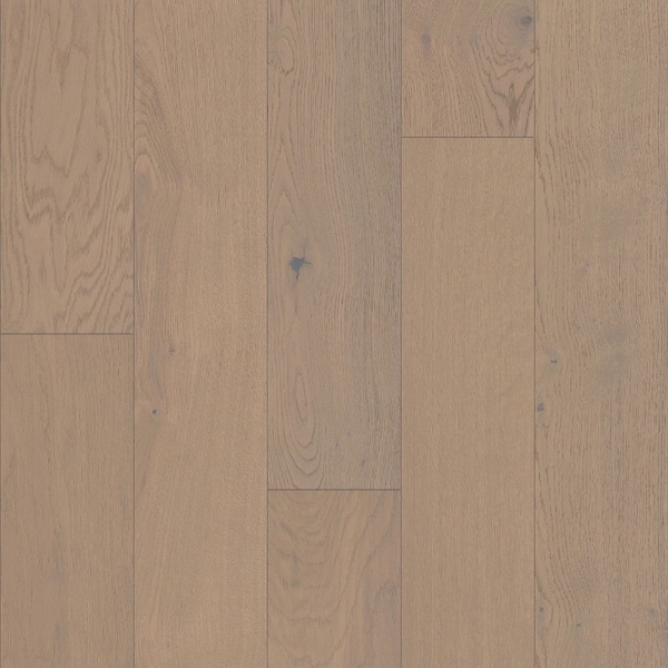 Picture of Shaw Builder - Citadel Reine