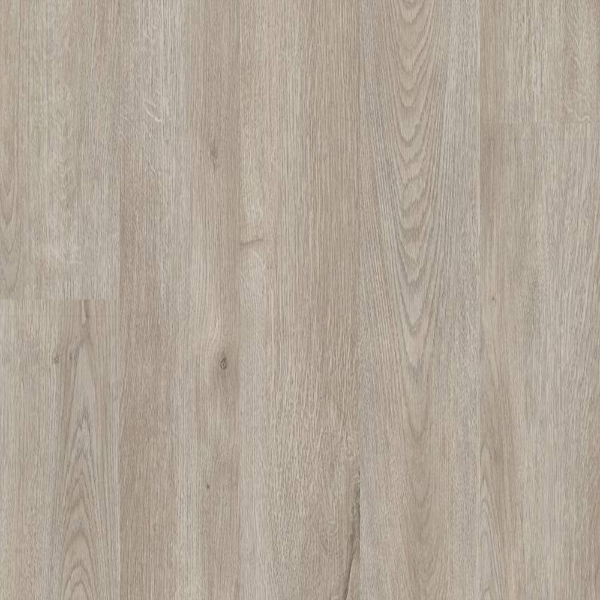 Picture of 5th and Main - Rapid Response 6 Miami