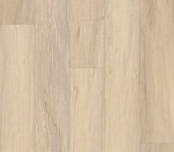 Picture of Philadelphia Commercial by Shaw - Fortitude Spalted Maple