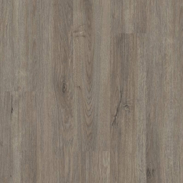 Picture of 5th and Main - Rapid Response 6 Chicago