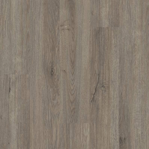 Picture of 5th and Main - Rapid Response 6 Chicago