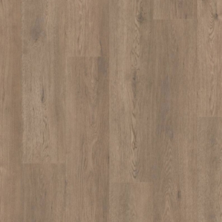 Picture of Shaw Floors - Paragon HD Plus Natural Bevel Winthrop