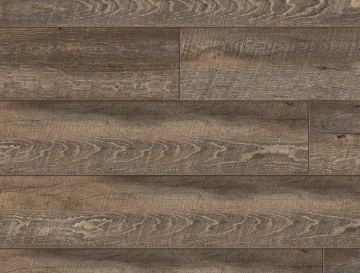 Picture of Republic - Cliffs XL American Elm