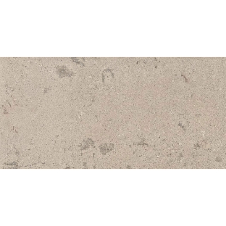 Picture of Milestone - Lith 12 x 24 Matte Antique Cream