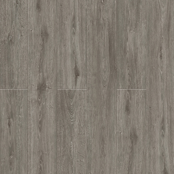 Picture of Durato - V-Evo Max Florence