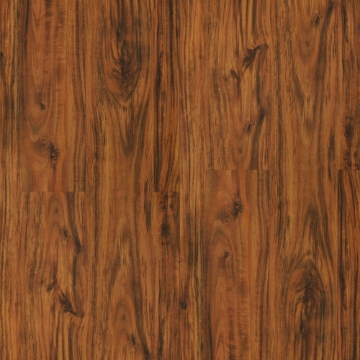 Picture of Durato - V-Evo Max Blenheim