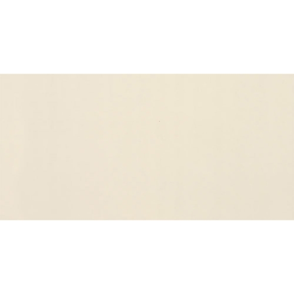 Picture of American Olean - Clay Canvas 12 x 24 Paint Polished