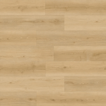 Picture of Durato - V-Evo XL Caramel