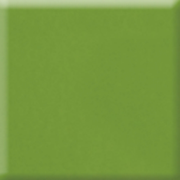 Picture of Daltile - Natural Hues 8 x 8 Fern