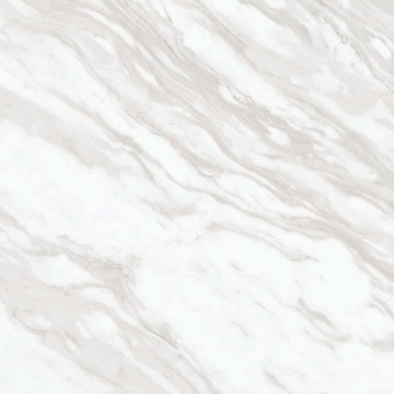 Picture of Daltile - Perpetuo 24 x 24 Polished Timeless White