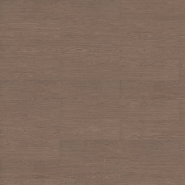 Picture of Patcraft - Anew 2.5 Praline-V2