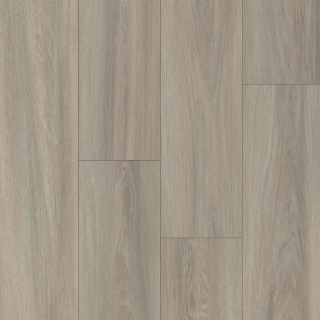 Picture of Happy Feet Intl. - Pinnacle Normandy