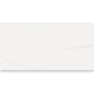 Picture of Refin - Dolomite 12 x 24 Dolomite Polished