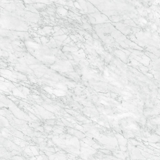 Picture of Anatolia Tile & Stone - La Marca 32 x 32 Carrara Gioia Honed
